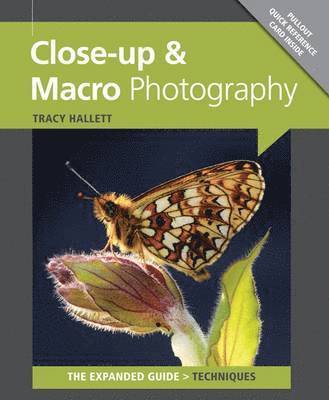 CLOSE UP & MACRO PHOTOGRAPHY