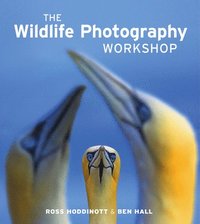 bokomslag The Wildlife Photography Workshop