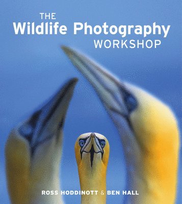 Ross Hoddinott, Ben Hall - Wildlife Photography Workshop, The, Häftad. Tillgänglighet: Tillfälligt slut