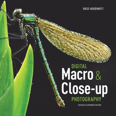 DIGITAL MACRO & CLOSE-UP PHOTO