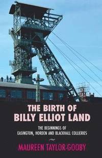 bokomslag The Birth of Billy Elliot Land