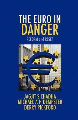 Jagjit S Chadha, Michael A H Dempster, Derry Pickford - Euro In Danger, Häftad