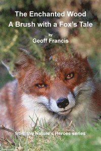 bokomslag Enchanted Wood - Brush of a Fox's Tale