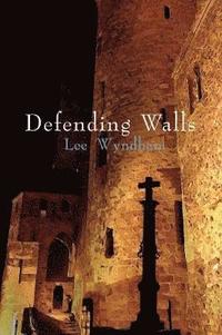 bokomslag Defending Walls
