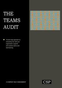 bokomslag The Teams Audit