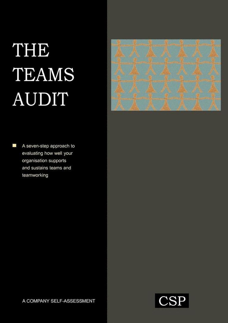 The Teams Audit 1