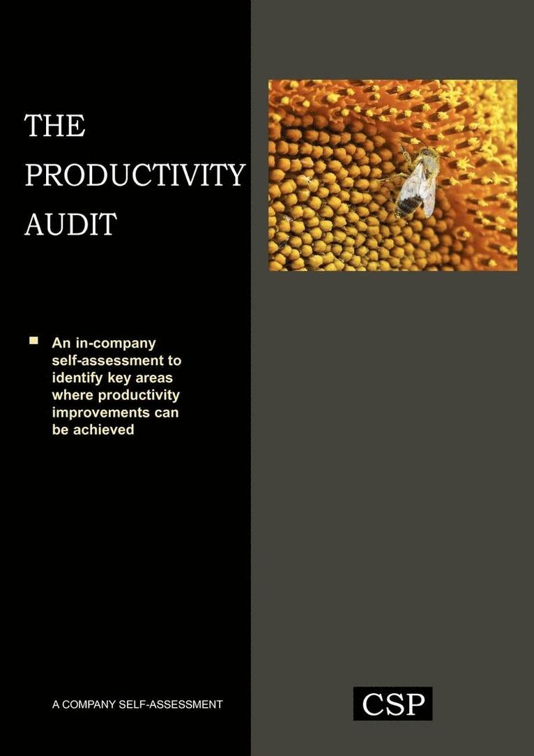 The Productivity Audit 1