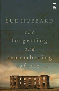 bokomslag The Forgetting and Remembering of Air