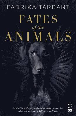 bokomslag Fates of the Animals
