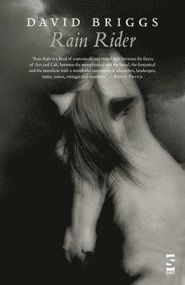 Rain Rider