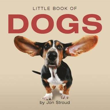 bokomslag Little Book of Dogs