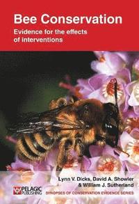 bokomslag Bee Conservation