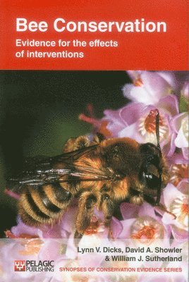 bokomslag Bee Conservation