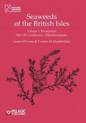 bokomslag Seaweeds of the British Isles