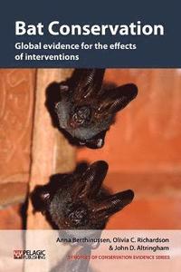 bokomslag Bat Conservation