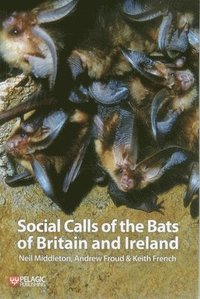 bokomslag Social Calls of the Bats of Britain and Ireland