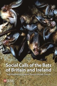 bokomslag Social Calls of the Bats of Britain and Ireland