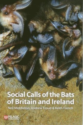 Neil Middleton, Andrew Froud, Keith French - Social Calls of the Bats of Britain and Ireland, Häftad