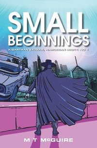 bokomslag Small Beginnings