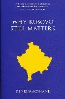 bokomslag Why Kosovo Matters