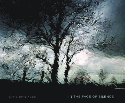 In the Face of Silence 1