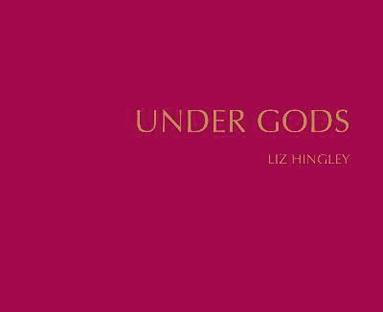 bokomslag Under Gods