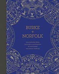 bokomslag Burke And Norfolk