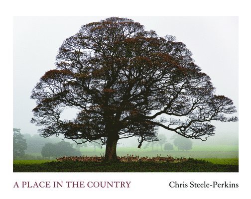 A Place In The Country 1