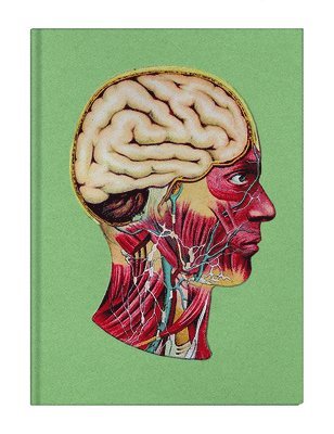 Phillip Toledano - Maybe, Inbunden