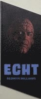 Bedwyr Williams - ECHT/70, Häftad