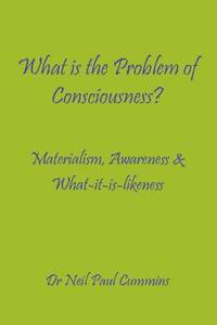 bokomslag What is the Problem of Consciousness?