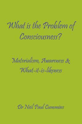 bokomslag What is the Problem of Consciousness?