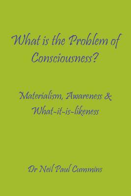 bokomslag What is the Problem of Consciousness?