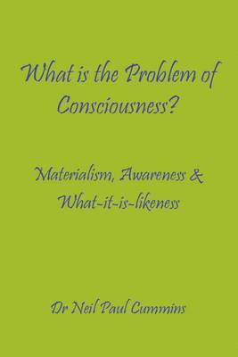 What is the Problem of Consciousness? 1