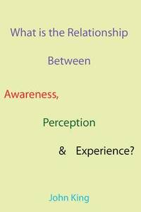 bokomslag What is the Relationship Between Awareness, Perception & Experience?