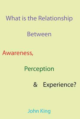 John King - What is the Relationship Between Awareness, Perception & Experience?, Häftad
