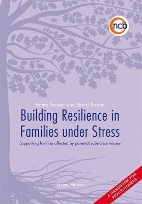 bokomslag Building Resilience in Families Under Stress
