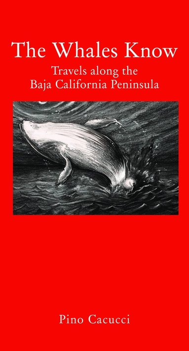 Pino Cacucci - Whales Know, Inbunden