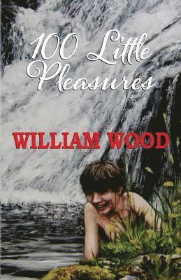 William Wood - 100 Little Pleasures, Häftad