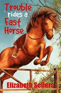 bokomslag Trouble Rides a Fast Horse