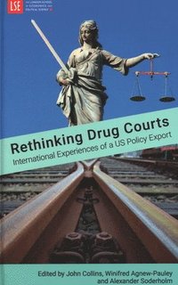 bokomslag Rethinking Drug Courts