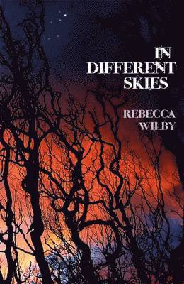 Rebecca Wilby - In Different Skies, Häftad