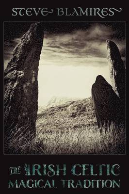 bokomslag Irish Celtic Magical Tradition