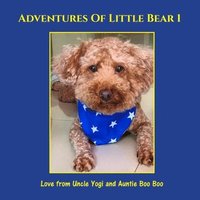 bokomslag Adventures of Little Bear 1