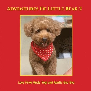 bokomslag Adventures of Little Bear 2