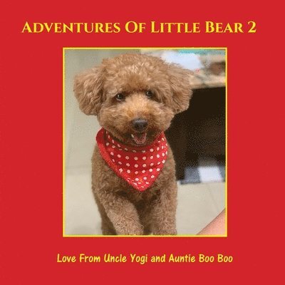 Adventures of Little Bear 2 1
