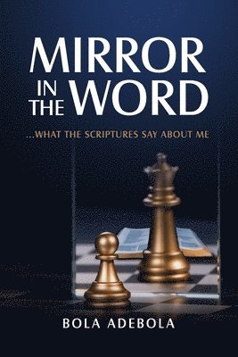 bokomslag Mirror in the word