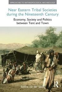 bokomslag Near Eastern Tribal Societies During the Nineteenth Century