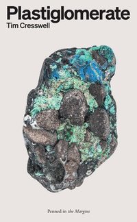 bokomslag Plastiglomerate
