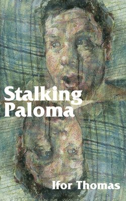 Stalking Paloma